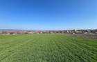 RECO Teren extravilan, zona Cheriu, 5375 mp, utilitati in zona, cu posibilitate - 7