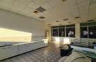 Spatiu show room, 1500 mp , parcare , Calea Lugojului - 8