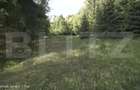 Teren intravilan de top – Colibița | 16.945 mp | Panoramă munți si lac - 3