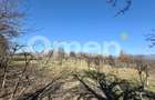 Teren intravilan | Berința | 5800 mp - 5