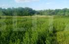 Teren intravilan de vanzare, 3700 mp, zona Braesti - 1
