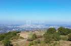 Teren 10.000mp plan, 350m altitudine | Barnova-Paun | POT 35%, CUT 0.9