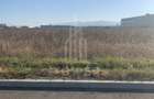 TEREN INTRAVILAN - ZONA INDUSTRIALA VEST-9000 mp, sau 18000 mp - 3