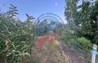 Casă de vânzare în Comuna Orodel – proprietate îngrijită, gata de locuit și cu p - 5