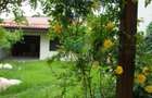 Zona Baneasa, vila speciala de vanzare, 290 mp construiti - 4