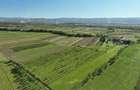 RECO, Teren cu livada de ciresi, Zona Auseu, Bihor - 8