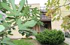 Mamaia Nord - Vila P+1 ET, zona Complex Alezzi - Comision 0% - 7