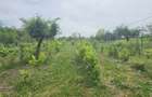Casă cu teren 3.000 mp de vânzare, str. Adevărului-CV0529 - 25