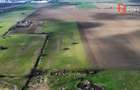 Teren intravilan 2 hectare in Padureni – oportunitate investitie sau dezvoltare - 3
