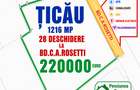 ȚICĂU / SEMICENTRAL IAȘI – OPORTUNITATE RARĂ PENTRU INVESTIȚIE ȘI DEZVOLTARE - 2