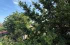 Vila 6 Camere P/M Teren 1000mp Poiana - 47