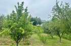 Casă P+M Chicerea Tomesti cu 2.200 mp teren, 30 ml la asfalt, livadă matură și mansardă - 13