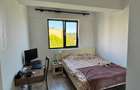 Apartament de inchiriat 3 camere zona Centru-Palas Mall - 7