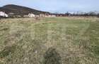Teren Intravilan de vanzare, 4400 mp, zona Viisoara - 1