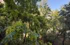 Apartament 4 camere Parc Drumul Taberei aproape de metrou - 10