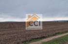 Teren 10,000mp Bacau / Strada Alexandru Safran - 8