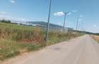 Teren Industrial Intravilan pentru constructii hale, Buftea, A0 - 1