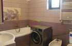 Vilă Individuală pe Malul Lacului Vadul lui Mos - Berceni - 6