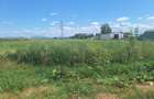 Vand teren 1.5 ha intravilan industrial Halchiu - 7