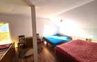 Cabana de vanzare, 200 utili, 600 teren, locatie de Vis -Muntele Rece - 7