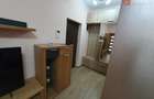 Apartament 2 camere la parter, parcare proprie, zona Iosefin - 10