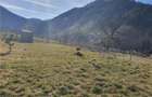 Vindem urgent 1035mp teren intravilan in Rau Sadului ,  SIBIU - 19