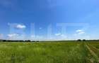 REDUCERE! Teren intravilan 4.444 mp, pretabil proiect imobiliar, zona Aeroport - 4