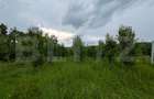 Teren intravilan, 4500 mp, zona Voinesti - 5
