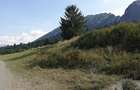Zarnesti - Plaiul Foii, 4880 mp teren intravilan. - 5