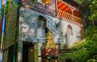 Pensiune, casa de vacanta, 6 camere, statiunea Rausor din Hunedoara - 8