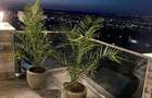 Penthouse Obcini | 240mp totali | Terase  | Parcare | 3c-4342 - 23