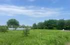Damaroaia-Coralilor Deschidere Lac Grivita - 7