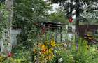 Vanzare vila lacul Baneasa - 15