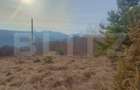Teren extravilan, 12000 mp, curent com. Ramet - 6