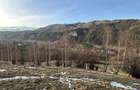 Teren 2,5 hectare in Simon, comuna Bran - 2