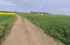 Frumusani DN 4 Popas-20km de Bucuresti , posibilitate parcelare