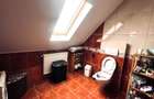 Casa de vacanta cu teren 2000mp Valea Avrigului - 21