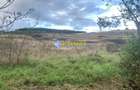 Teren intravilan de vanzare 1248 mp d=15 mTeleac cu utilitati panorama deosebita - 2