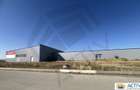 Inchiriere sau vânzare hală Banat Business Park - 1