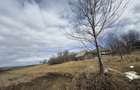 Teren intravilan | 16 ari | Horodnic de Jos – zona Călugărița - 3