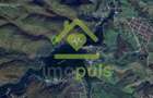 🗺️ Teren împădurit 20.720 mp (2,07 ha) – malul Lacului Cinciș ✨ - 8