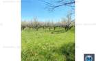 Teren intravilan de vanzare in Baicoi, 4036 mp #15948 - 3