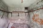Casa 3 camere libera la vanzare TARLUNGENI - 23