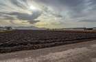 Teren industrial, intravilan, cu utilitati, Stupini, 11.600 mp - 7