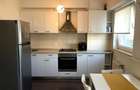 UNIRII / PARCUL CAROL / SERENA RESIDENCE / PENTHOUSE MODERN - 10