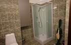 De inchiriat! Ap2camere, Tatarasi/Flux Flora - 8