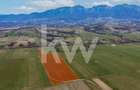 Teren intravilan – Zarnești, Zona Penny | 25 Euro/ mp - 8