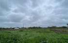 Teren intravilan | 3993 mp | Ciorogarla, Ilfov | Utilitati - 7