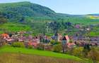 Pachet terenuri agricole Saschiz și Mihai Viteazu, Jud. Mures - 3