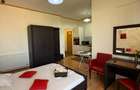 Apartament de închiriat, 1 cameră, 40 mp, Borhanci zona Romul Ladea - 2